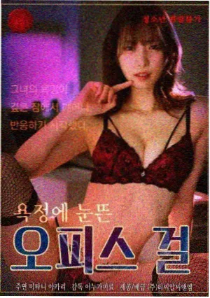 旧城档案馆剧集标本封面